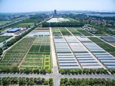 2017武漢種業(yè)博覽會(huì)亮點(diǎn)紛呈!種博會(huì)工作步步高!