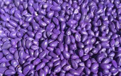 我國(guó)種衣劑市場(chǎng)產(chǎn)品布局及未來(lái)重點(diǎn)關(guān)注的化合物