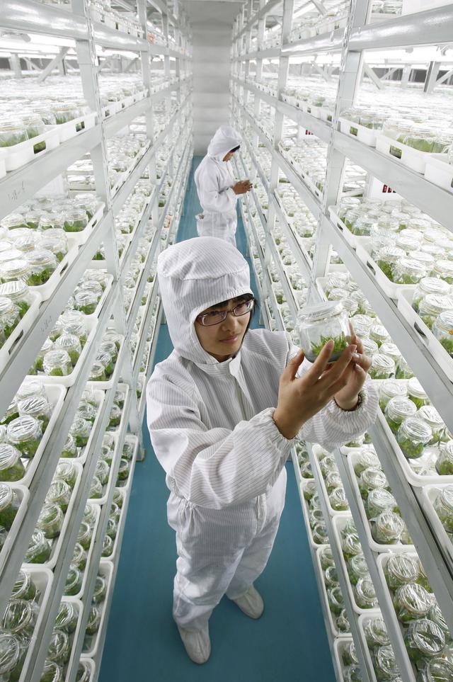 科技賦能 川蜀沃土育良種——四川推進(jìn)畜禽種業(yè)自主創(chuàng)新的實(shí)踐與準(zhǔn)備