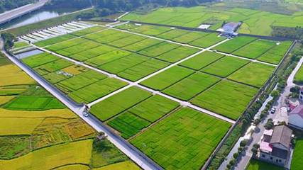 袁創(chuàng)超級稻 引領(lǐng)“十三五”種業(yè)創(chuàng)新的科技豐碑